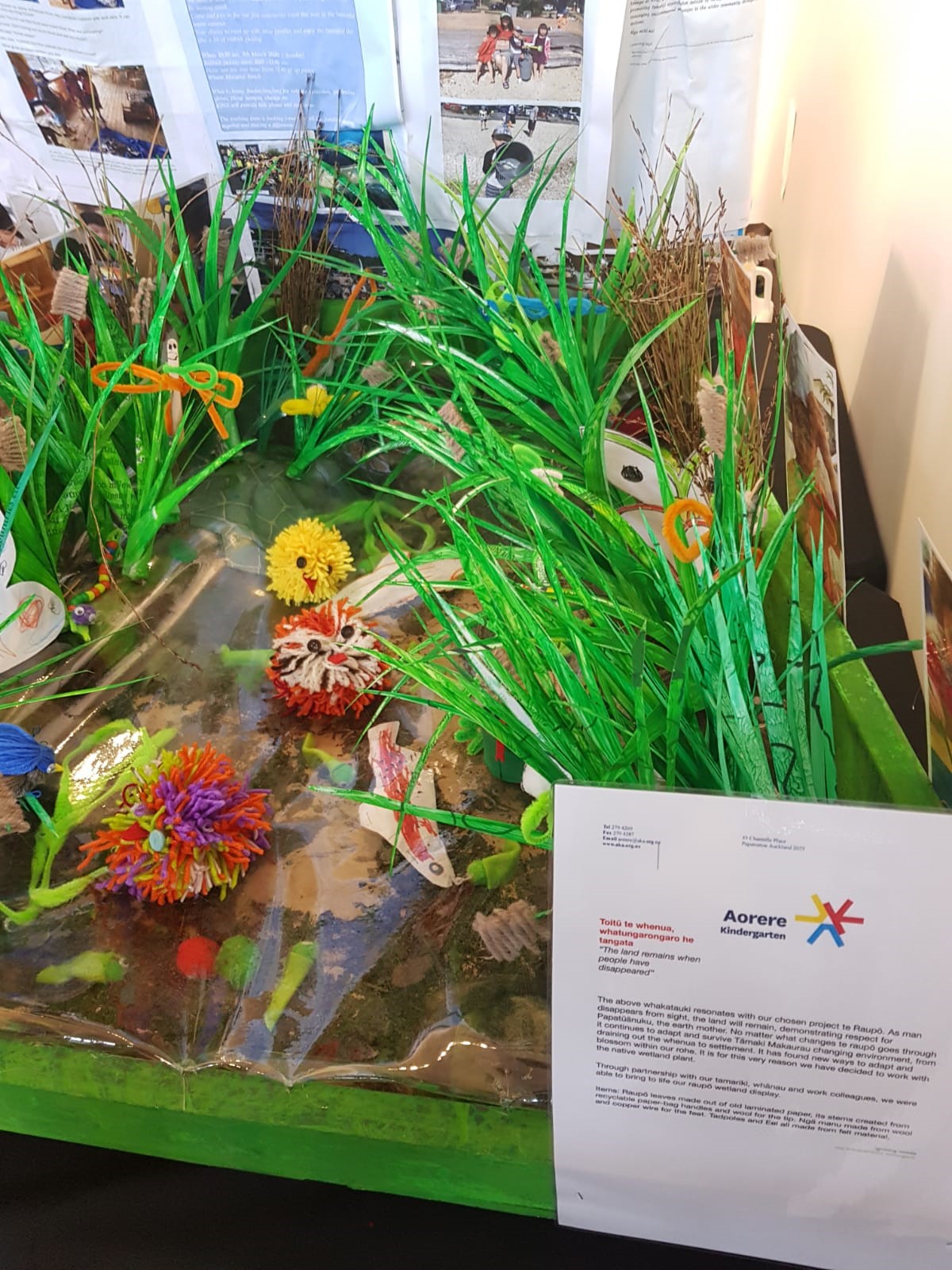 Aorere first place (1)